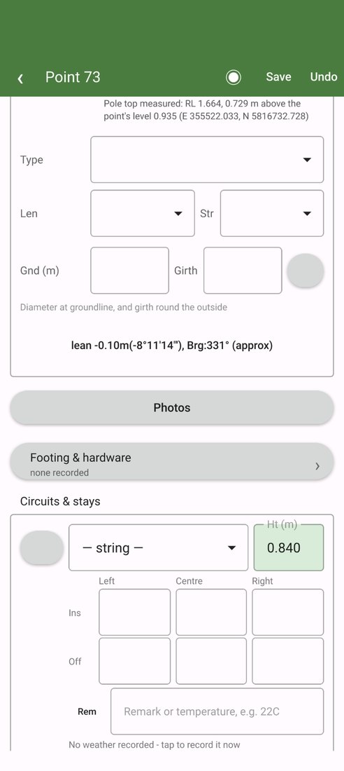 nPoles Field mini: a point form with a measured pole top and lean